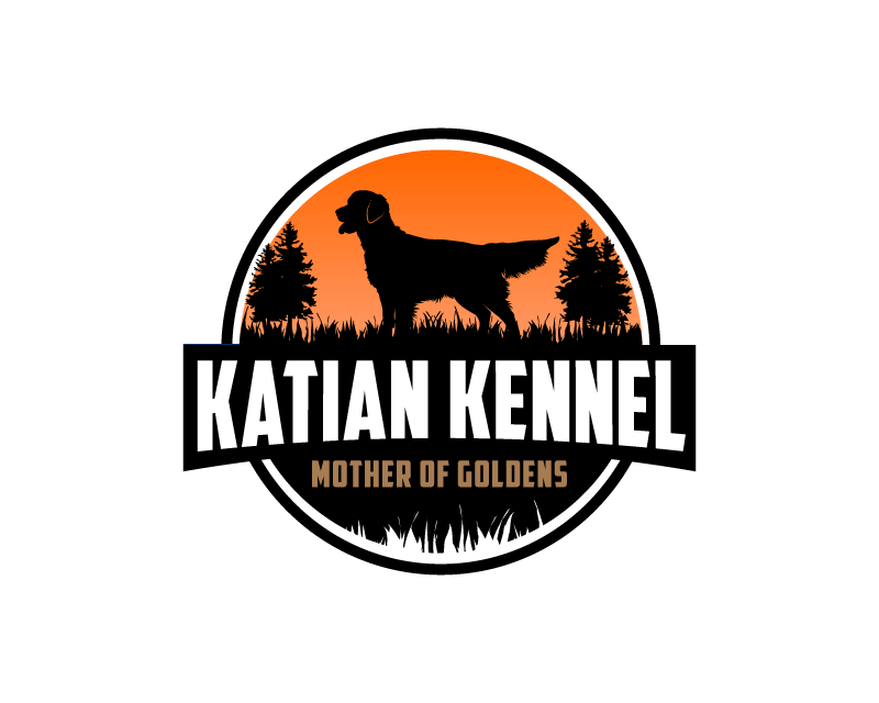 Logo Design entry 2663588 submitted by dsdezign
