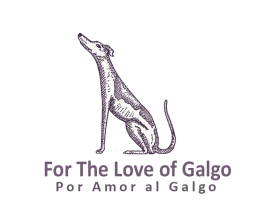 For The Love of Galgo (English) entry by ilias elbouanani