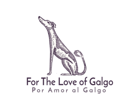 For The Love of Galgo (English) entry by ilias elbouanani