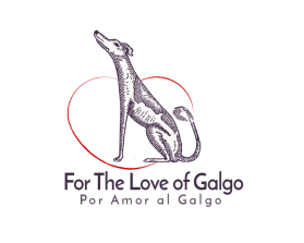 For The Love of Galgo (English) entry by ilias elbouanani
