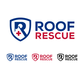 Roof Rescue entry by twdesignstudio