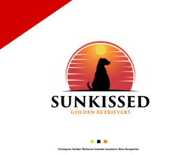 SunKissed Golden Retrievers entry by hi.harii