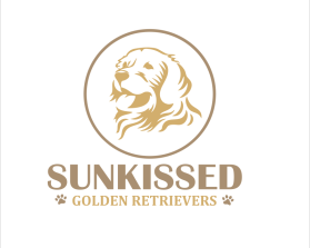 SunKissed Golden Retrievers entry by Dhiraj Dutta