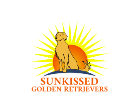 SunKissed Golden Retrievers entry by asfan nurochim