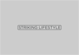 Striking Lifestyle entry by RENDY