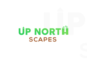 Up North Scapes entry by Mr.Rayquaza