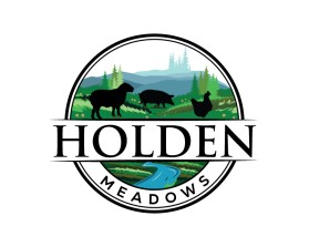 Holden Meadows entry by plexdesign
