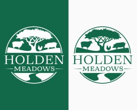 Holden Meadows entry by Armchtrm