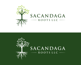 Sacandaga Roots LLC entry by just
