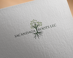 Sacandaga Roots LLC entry by just
