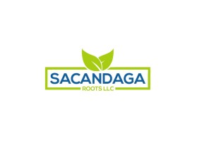 Sacandaga Roots LLC entry by freelancernursultan
