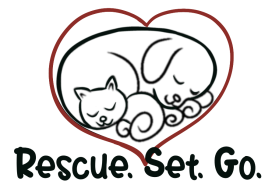 RescueSetGo entry by Adasha