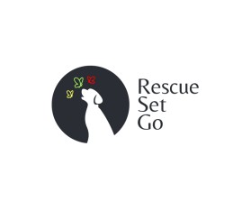 RescueSetGo entry by Tal