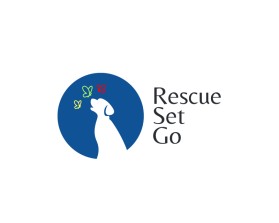 RescueSetGo entry by Tal