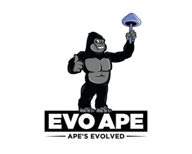 EVO APE entry by Amit1991