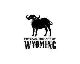 Physical Therapy of Wyoming entry by dwi ernawati