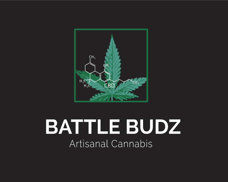 Logo Design entry 2714378 submitted by lostsoul