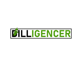Dilligencer entry by Kang okim