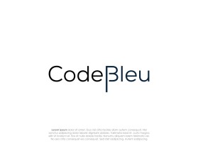 Code Bleu entry by alfisyhab