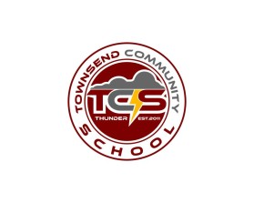 Townsend Community School entry by mustafin