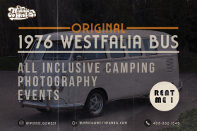 Winnie Go West entry by Artisto_Studio