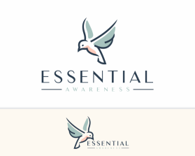 Essential Awareness entry by asf
