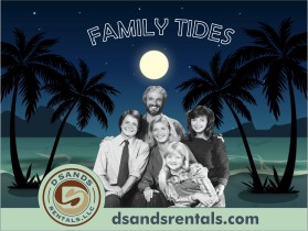 D Sands Rentals, LLC entry by Mufidadissa