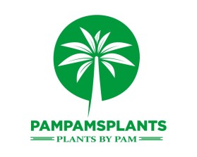 PamPamsPlants entry by nnurulahmd_