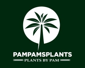 PamPamsPlants entry by nnurulahmd_