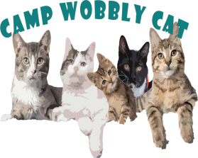 Camp Wobbly Cat entry by apr25
