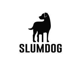 Slumdog entry by Amit1991