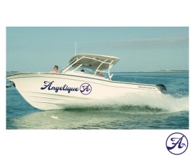Logo for a Boat entry by Shark Attack