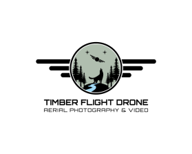 Timber Flight Drone entry by Petrus Puji Nugroho
