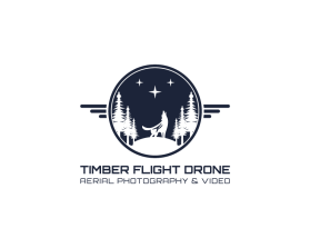 Timber Flight Drone entry by Petrus Puji Nugroho