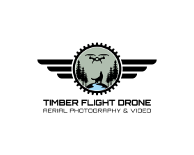 Timber Flight Drone entry by Petrus Puji Nugroho