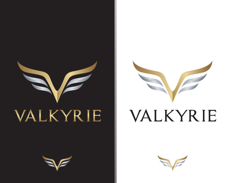 Logo Design for Valkyrie