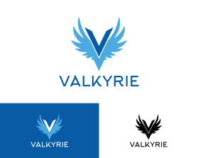 Valkyrie entry by binbin design