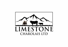Limestone Charolais Ltd entry by ANTO421