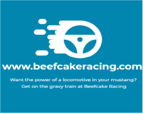 www.beefcakeracing.com entry by Bikram141