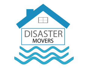 DISASTER MOVERS entry by prince7