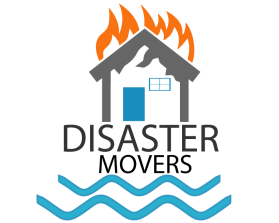 DISASTER MOVERS entry by prince7