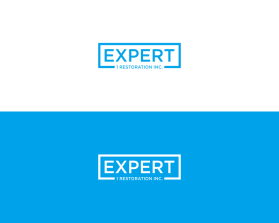 Expert 1 Restoration Inc. entry by art dent