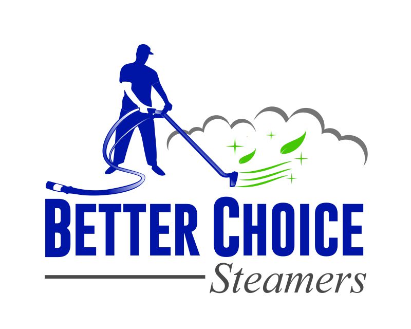 Logo Design for Better Choice Steamers