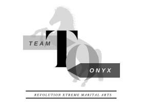 Team Onyx entry by ouzamkhan