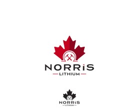 Norris Lithium entry by akira design