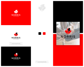 Norris Lithium entry by manaf