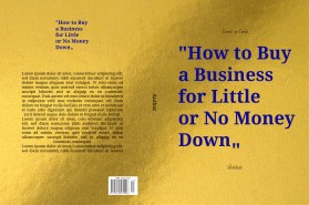 Course on Cards- How to Buy a Business for Little or No Money Down- WorkBook entry by greynesia