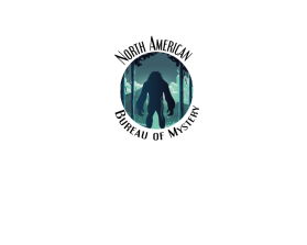 North American Bureau of Mystery entry by madartist