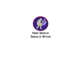 North American Bureau of Mystery entry by madartist