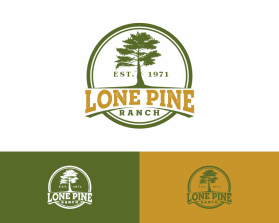 Lone Pine Ranch entry by xd110912